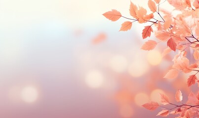 Wall Mural - Abstract Autumn Background with Tree Branch. Golden and Yellow Fall Leaves in Natural Bokeh Light
