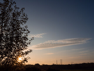 Wall Mural - a tree with a sun shining through its leaves. the sky is blue with some clouds. the sun is rising up