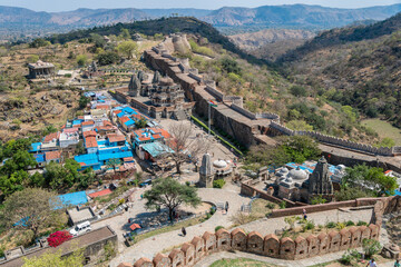 Wall Mural - A beautiful Kumbhalgarh Fort stands on a hill with a pink flower in the foreground