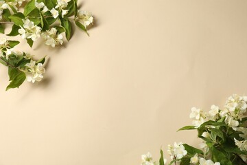 Wall Mural - Aromatic jasmine flowers and green leaves on beige background, flat lay. Space for text