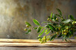 © Ivan - a branch of mistletoe on a wooden background with place for text or inscriptions