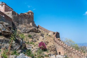 Wall Mural - A beautiful Kumbhalgarh Fort stands on a hill with a pink flower in the foreground