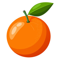 Wall Mural - orange fruit vector illustration