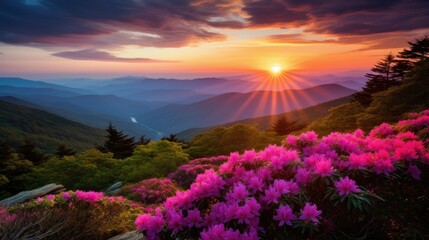 Canvas Print - sunrise in the mountains