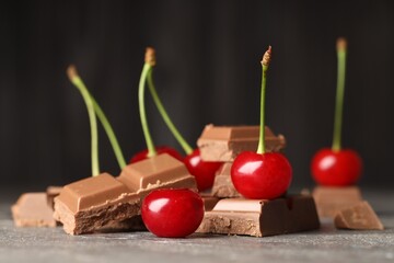 Poster - Fresh cherries with pieces of milk chocolate on grey textured table, closeup