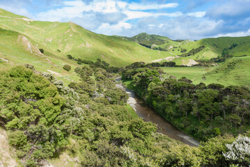 Canvas Print - Bush lines river through hill country farmland