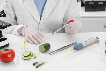 Wall Mural - Quality control. Food inspector checking safety of products in laboratory, closeup