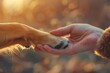 © Mikki Orso - Heartwarming connection  human hand and dog paw touch in symbolic display of love and friendship