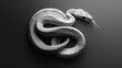 © Aliaksandr Siamko - A white snake is curled up on a black background
