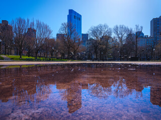 Wall Mural - Tranquil Boston Public Garden Landscape after Rain