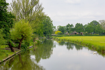 Wall Mural - Spring landscape along the river with green grass and trees, The Kromme Rijn river is running from the Nederrijn at Wijk bij Duurstede to the Stadsbuitengracht in the province of Utrecht, Netherlands.