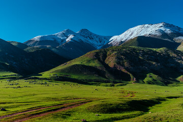 Sticker - Picturesque mountain landscape with snow peaks in summer