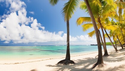 Wall Mural - coco palm trees in paradise beach and tropical sea in mauritius island