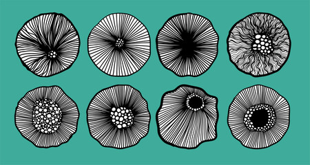 Wall Mural - Set of black graphic elements. Graphic round flowers. Hatching. hand drawing. Not AI. Vector illustration.