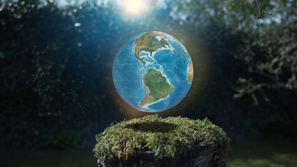Wall Mural - earth america plexus concept mos on tree stump nature background