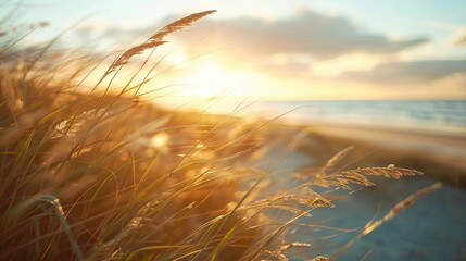 Wall Mural - Blurred beach grass blowing in the wind at sunset with ocean in background Summer nature concept