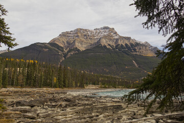 Wall Mural - Mount Kerkeslin near Athabasca Falls