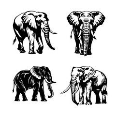 illustration of an elephant