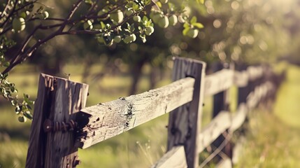 Poster - Old farm fence surrounding a fruit orchard, close-up, weathered wood, soft-focus trees 