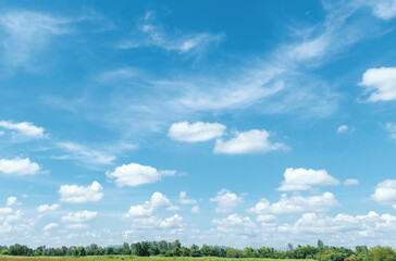 Wall Mural - sky is blue with a few clouds scattered throughout