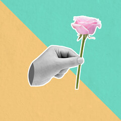 Poster - A human hand holding a pink rose flower