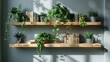© Wilden - Cozy Minimalist Home Decor Shelves Displaying Houseplants and Books.Zoom Virtual Background, Cozy Interior Backdrop, Living Room Background, Virtual Meetings