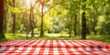 © Nice Seven - Red and White Checkered Picnic Blanket in a Sunny Park
