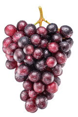 Wall Mural - Cluster of red table grape covered with small water drops. File contains clipping path.