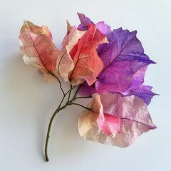 A closeup of a vibrant bougainvillea flower with p 39 2