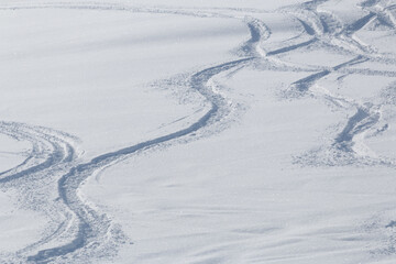 Wall Mural - snowboard tracks in deep white winter snow landscape background