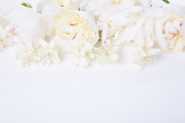 Flowers composition. Frame made of pink peony flowers on white background. Flat lay, top view, copy space