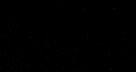 Wall Mural - Natural Organic Dust Particles Floating On Black Background. Dynamic Dust Particles Randomly Float In Space. Shimmering Glittering Dust Particles With Bokeh. Slow motion on Black Background.