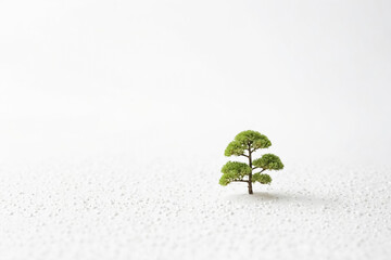 Wall Mural - Small tree on white background