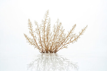 Canvas Print - Dried Branch in Water Reflection