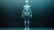 © visoot - A full body skeleton X-ray of the human body Electric light. Generative AI.