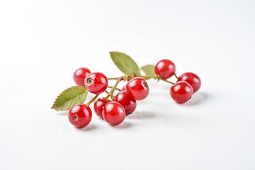 Wall Mural - Red berries on a white background