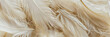© Lidok_L - A close up of a large number of white feathers, with some of them being fluffy