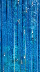 Wall Mural - Swimmers are training in an outdoor pool before the competition, view from a drone, top-down