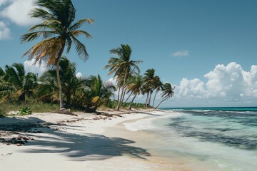 Wall Mural - Tranquil and secluded tropical island beach with pristine white sands. Deserted coastline. Palm trees. Clear turquoise waters. And a bright blue sky