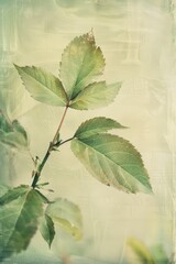 Wall Mural - Vintage Green Leaves on a Soft Background