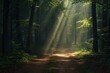 © Татьяна Евдокимова - Tranquil and serene morning hike through the enchanted forest with sunlight filtering through the trees creating mystical sunbeams and vibrant foliage scenery
