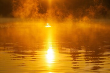 Wall Mural - Tranquil sunrise with golden light reflecting on a serene lake's surface, creating a mystical atmosphere with rising morning mist