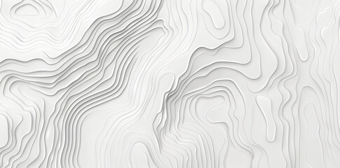 Poster - Topographic line map background, light gray and white lines, topographical contour pattern for design banner template