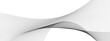 © Ahmad Araf - Abstract wavy lines on transparent background with grey smooth element swoosh speed wave modern stream background. You can used for banner, template, wallpaper, business wave curve lines background.
