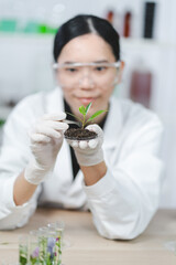 Wall Mural - advancing scientific research in the laboratory: botanical and pharmaceutical on plant chemistry, fu