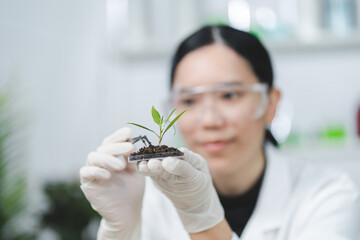 Wall Mural - advancing scientific research in the laboratory: botanical and pharmaceutical on plant chemistry, fu