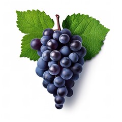 Wall Mural - AI generated illustration of a bunch of fresh purple grapes with green leaves on a white background.