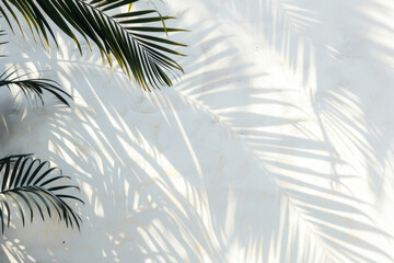 Poster - White wall with tropical palm leaf shadow. Beautiful abstract background concept banner for summer vacation	