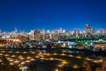 Wall Mural - 宮城県仙台市 仙台城跡から眺める仙台市の夜景