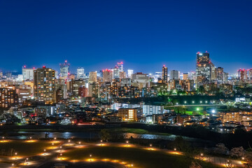 Wall Mural - 宮城県仙台市 仙台城跡から眺める仙台市の夜景